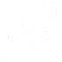 White feather icon on a light gray background