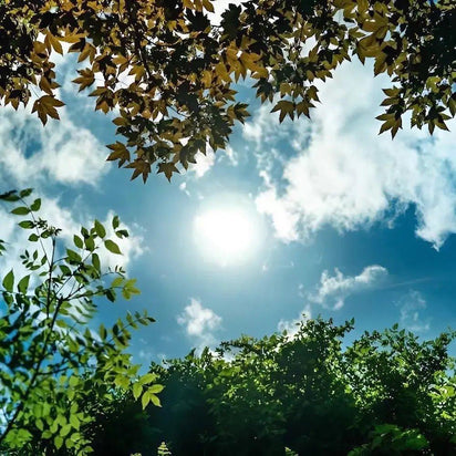 How To Stop Fabric Fading In The Sun - Bean Bags R Us