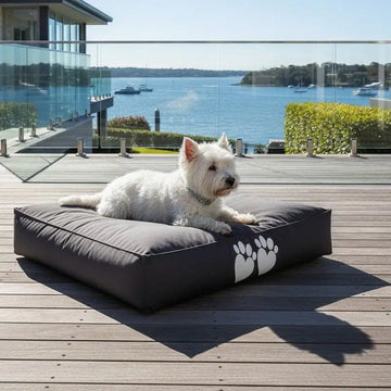 White dog lying on a large gray pet bed with paw print design on a wooden deck by a waterfront.